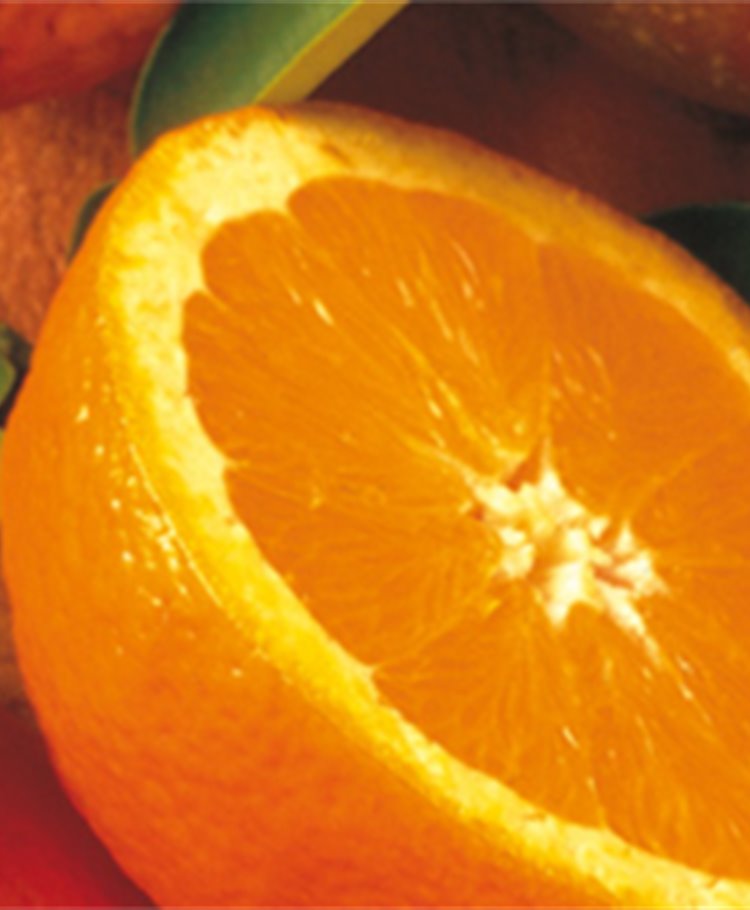 Gelei sinaasappels