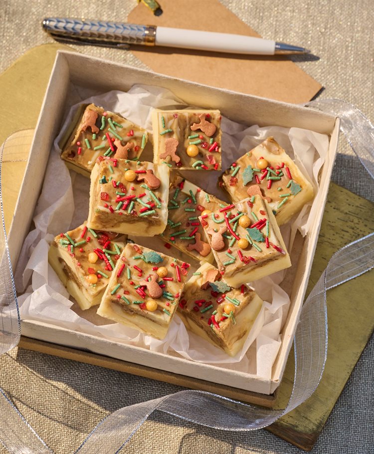 Christmas Fudge Recipe Dr. Oetker
